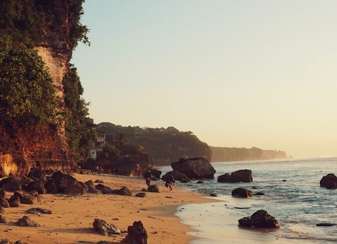 a rocky beach with trees and water